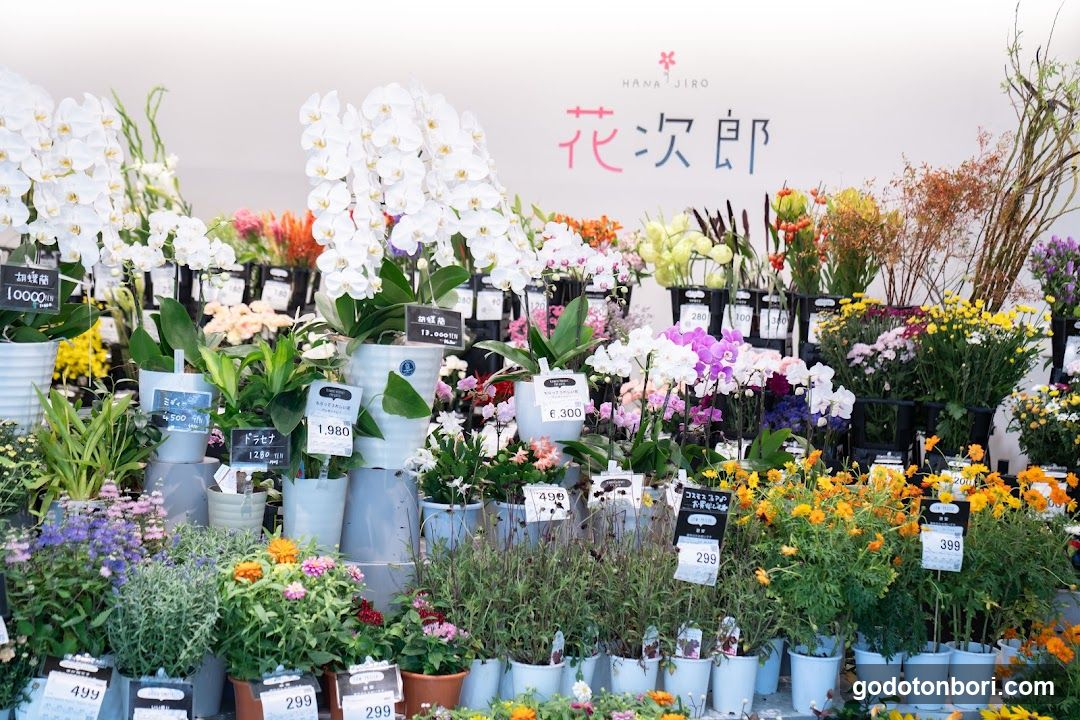 Hanajiro NAMBA Nannanmise Flower Shop