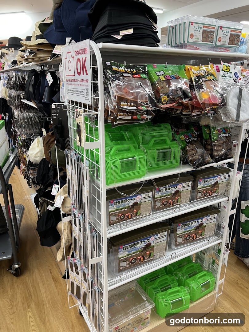 DAISO