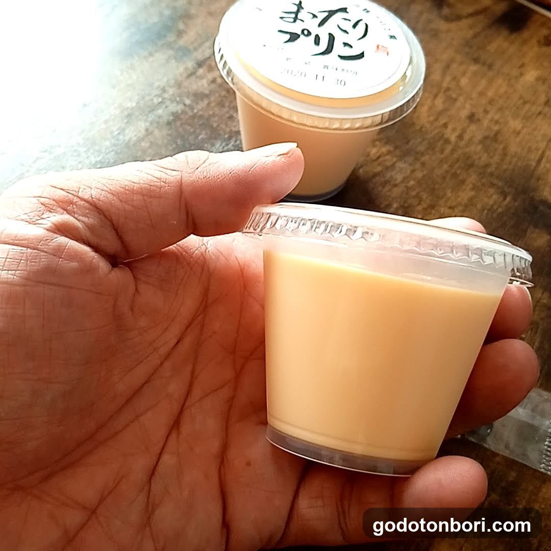 Mattari-Purin Dotombori