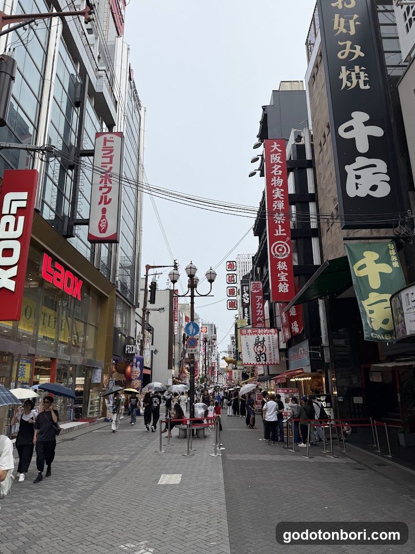 Dotonboridoragonboru