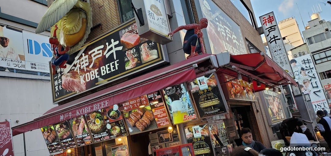 Dotonboridoragonboru