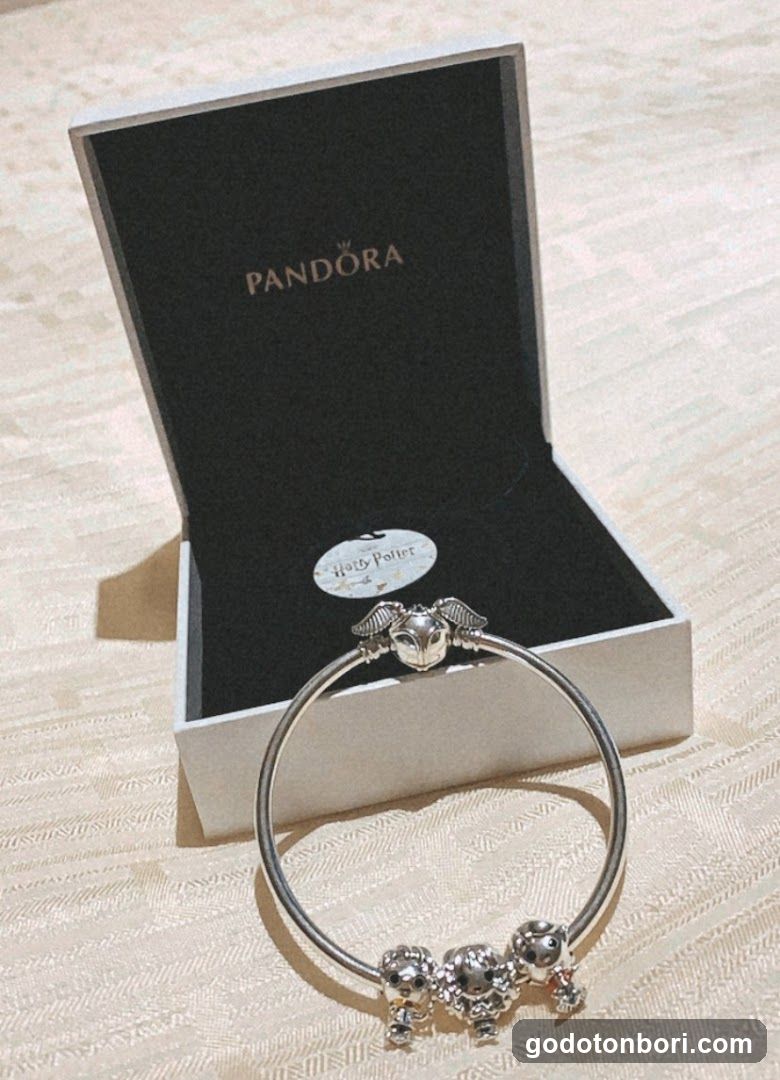 Pandora Shinsaibashi(Pandora 心斎橋店)