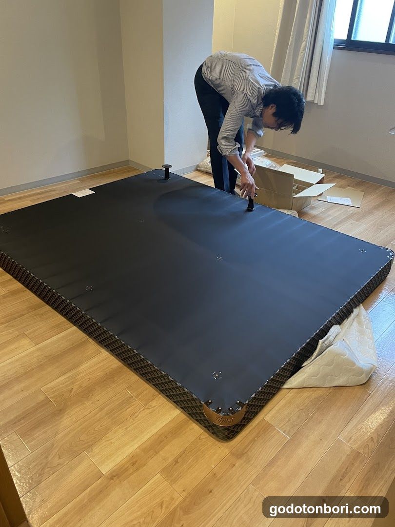 Sealy Bed Osaka Showroom