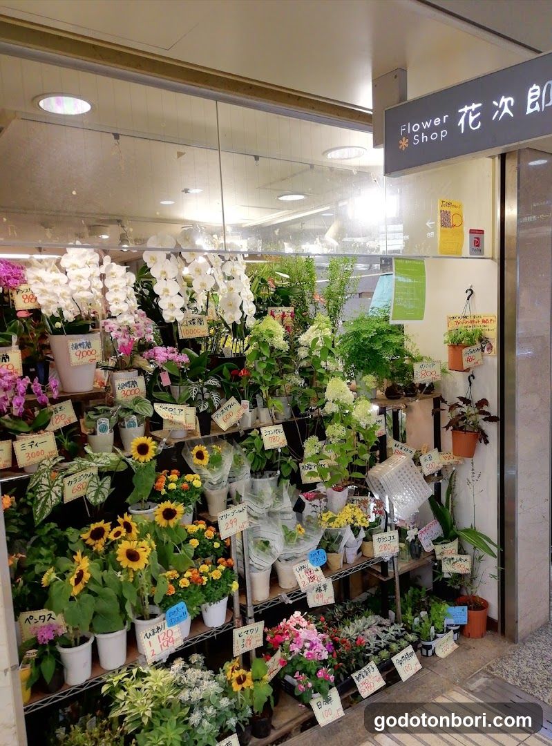 Flower shop Hanajiro Namba Walk