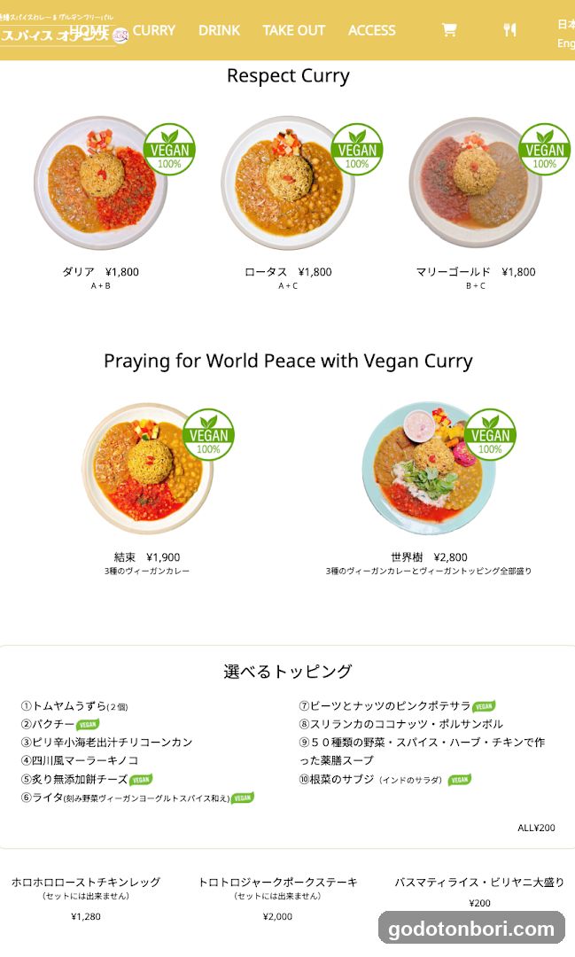 Spys Oasis, Medicinal Spicy Curry Gluten-free Bar