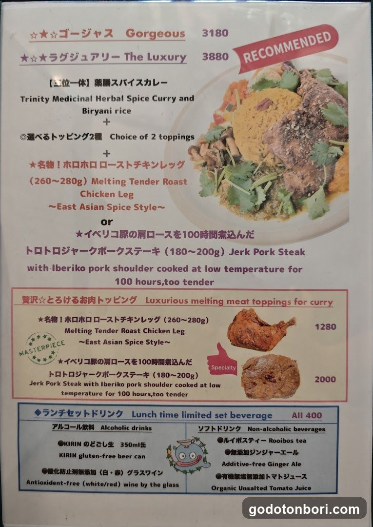 Spys Oasis, Medicinal Spicy Curry Gluten-free Bar