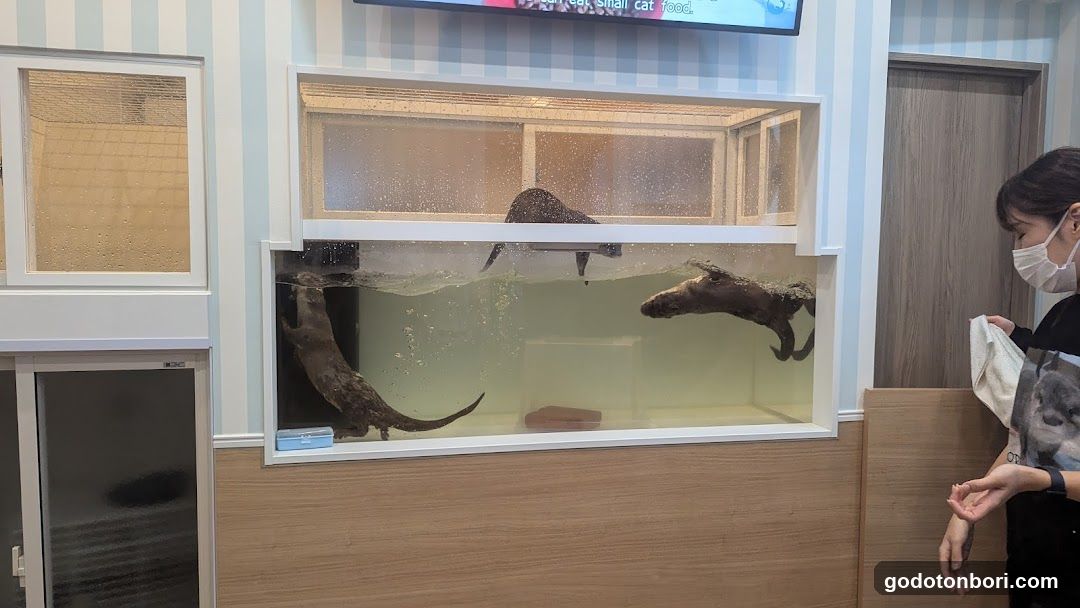 LOUTRE(ルートル)大阪千日前店