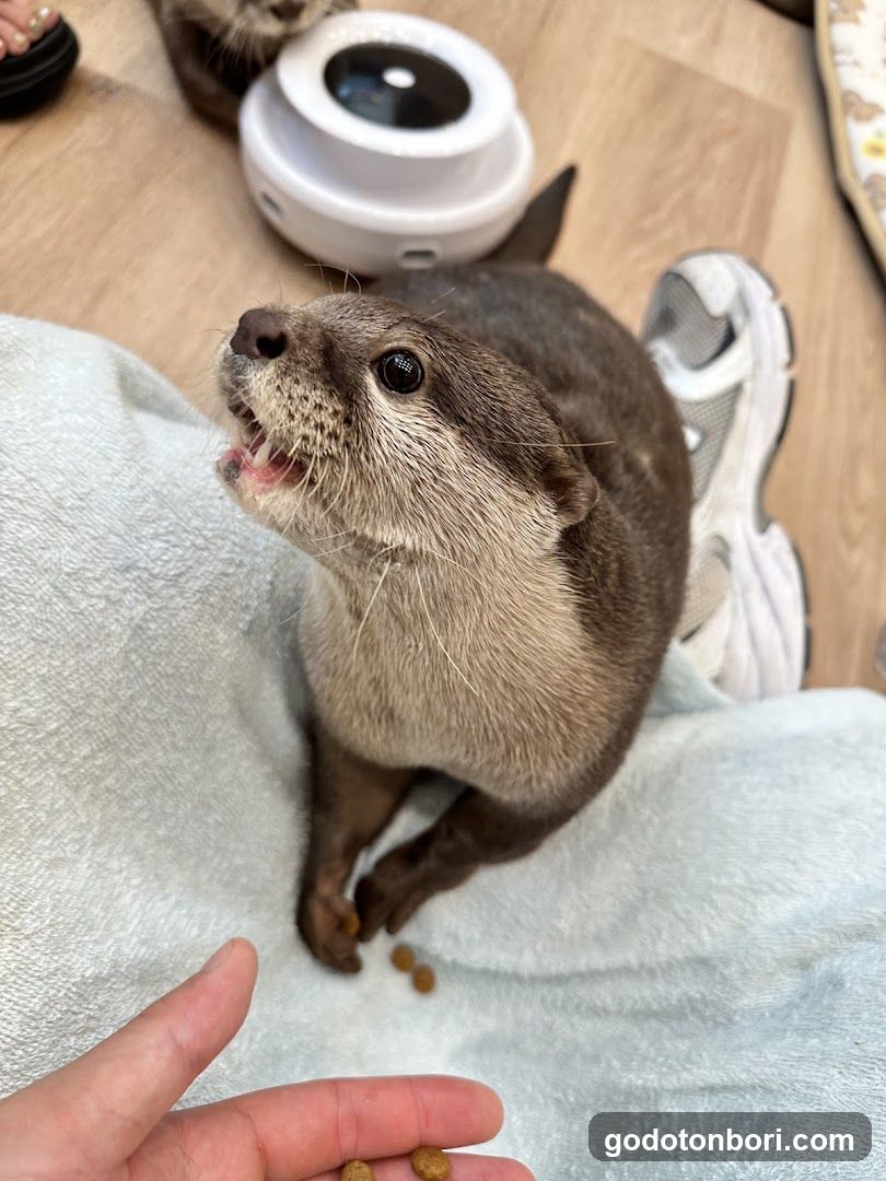 LOUTRE(ルートル)大阪千日前店