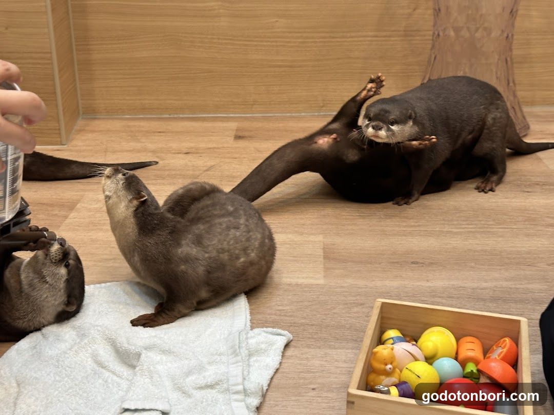 LOUTRE(ルートル)大阪千日前店