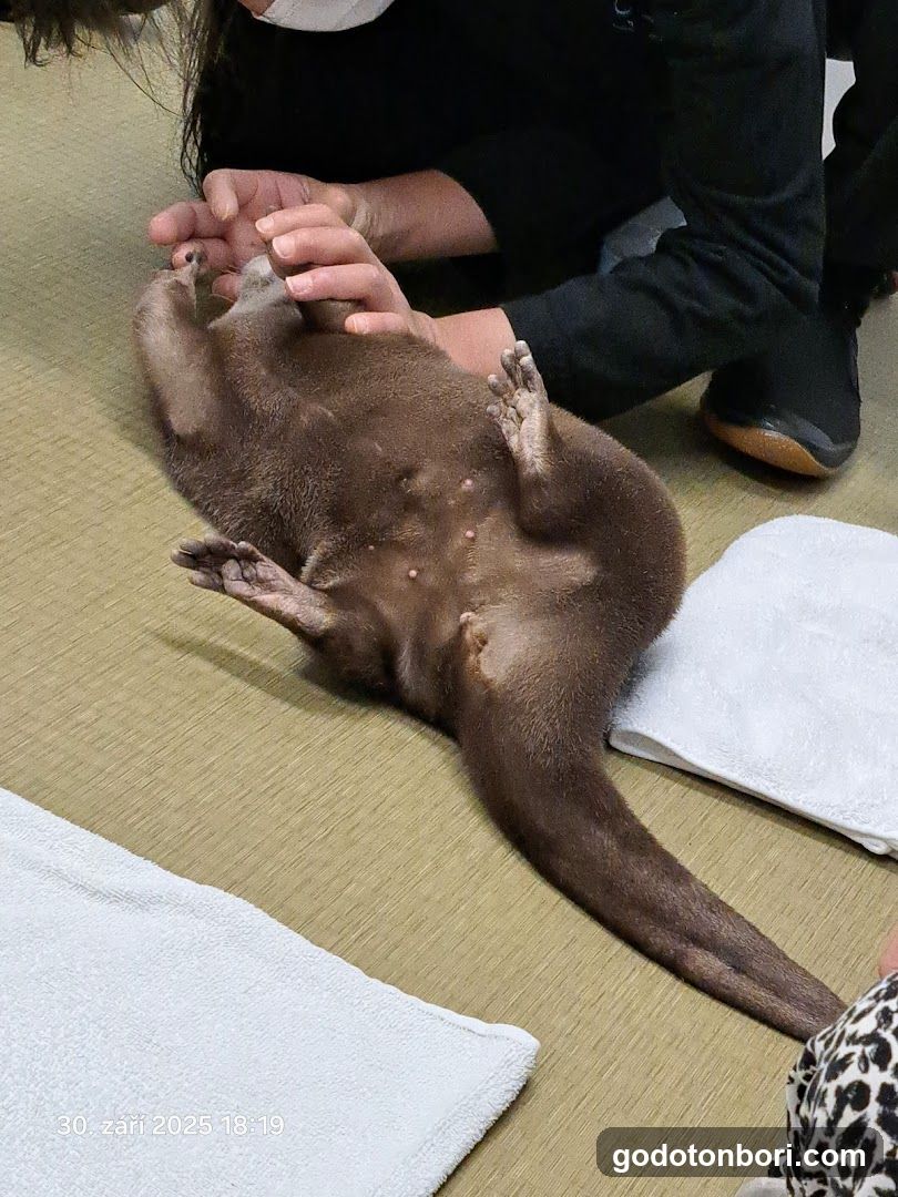LOUTRE(ルートル)大阪千日前店