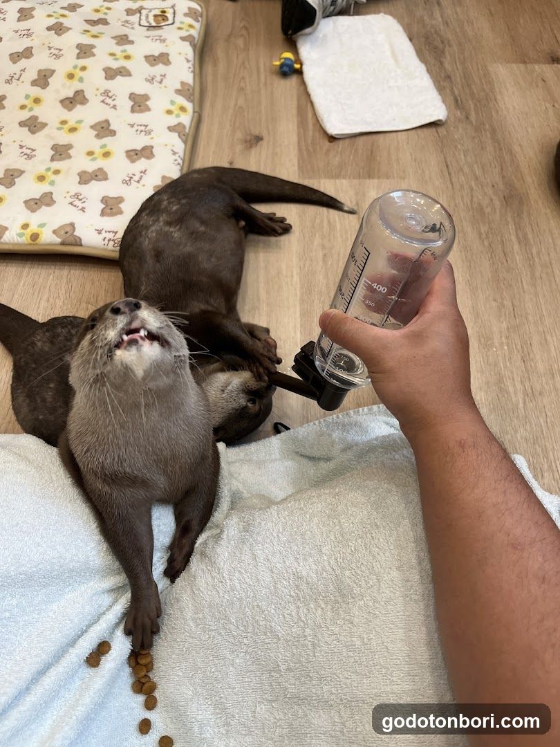 LOUTRE(ルートル)大阪千日前店