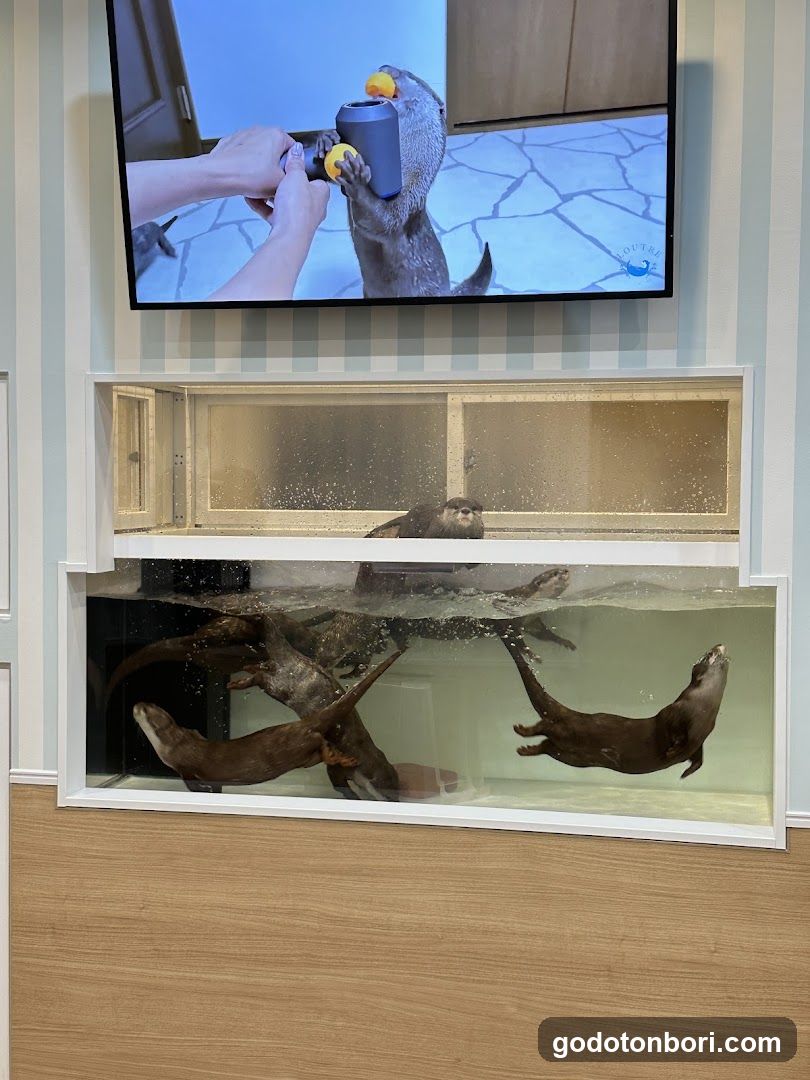 LOUTRE(ルートル)大阪千日前店