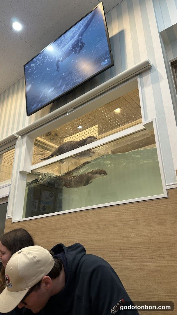 LOUTRE(ルートル)大阪千日前店