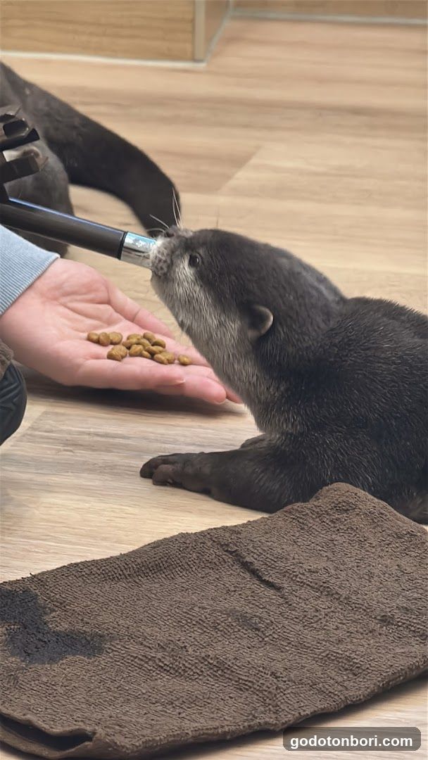 LOUTRE(ルートル)大阪千日前店