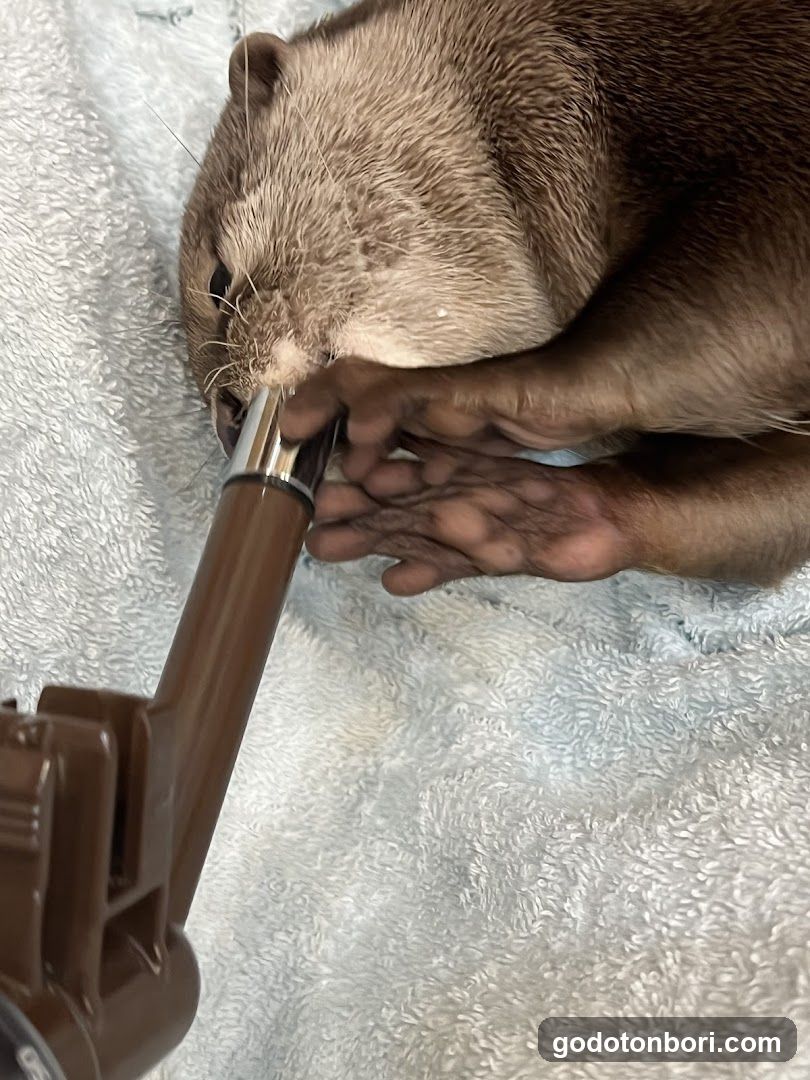 LOUTRE(ルートル)大阪千日前店