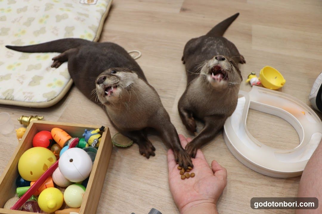 LOUTRE(ルートル)大阪千日前店