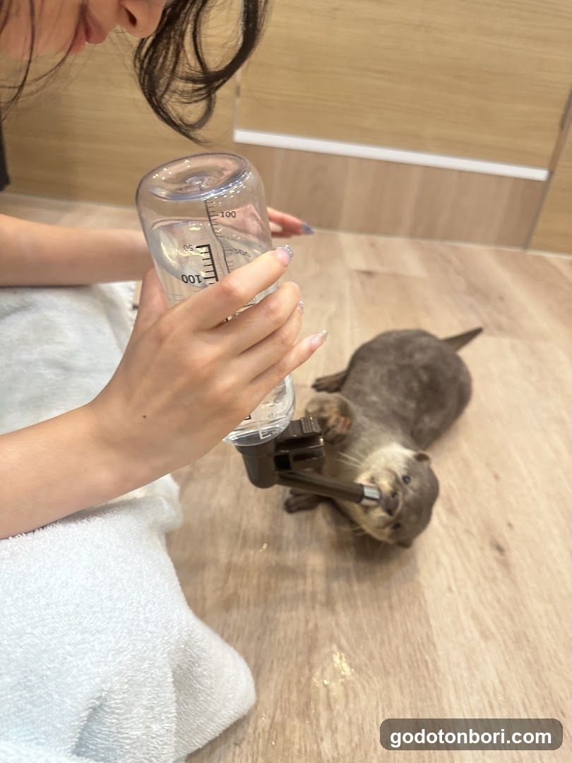 LOUTRE(ルートル)大阪千日前店