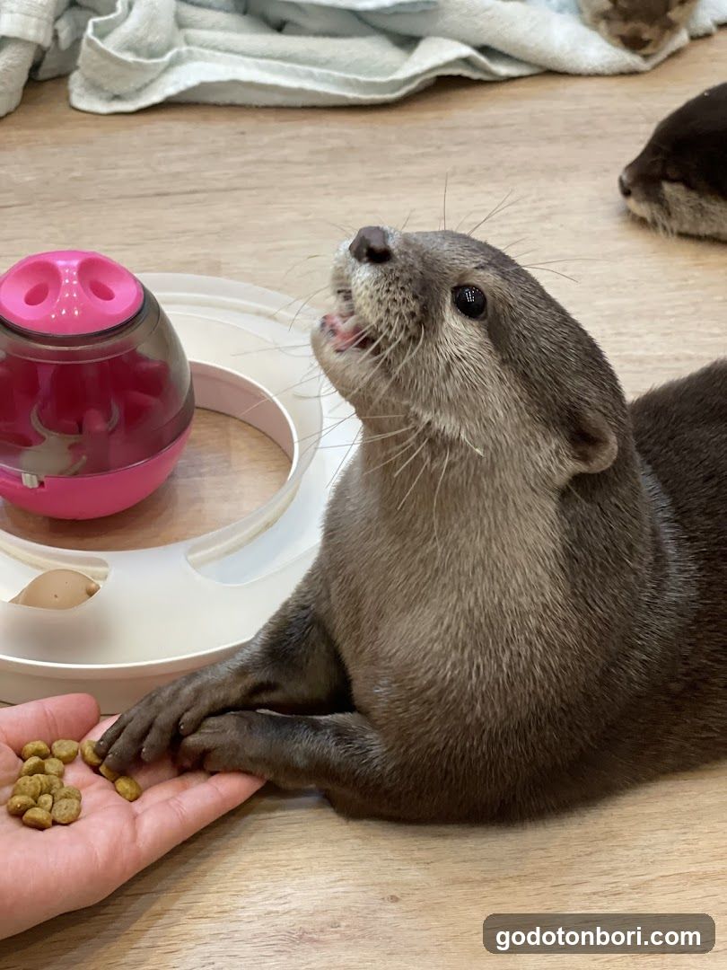 LOUTRE(ルートル)大阪千日前店