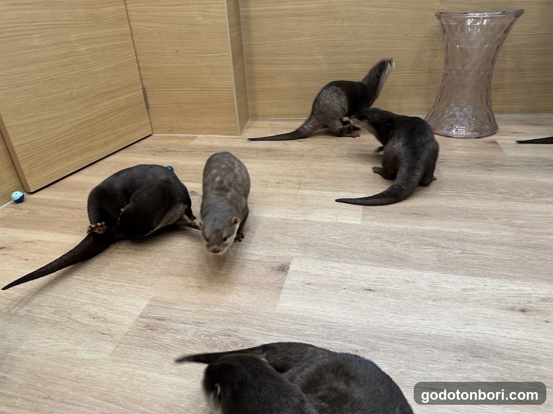 LOUTRE(ルートル)大阪千日前店
