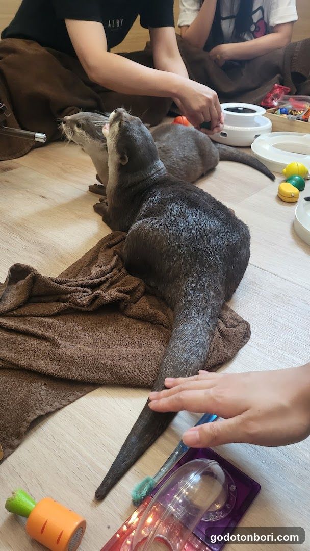 LOUTRE(ルートル)大阪千日前店