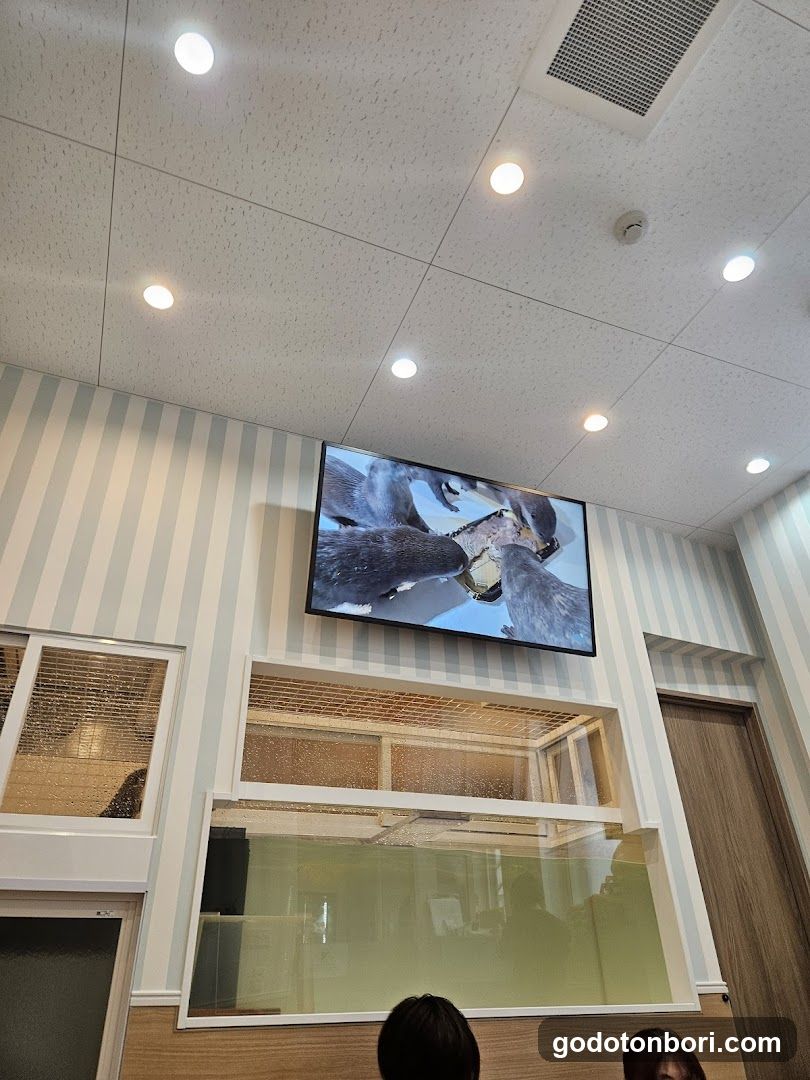LOUTRE(ルートル)大阪千日前店