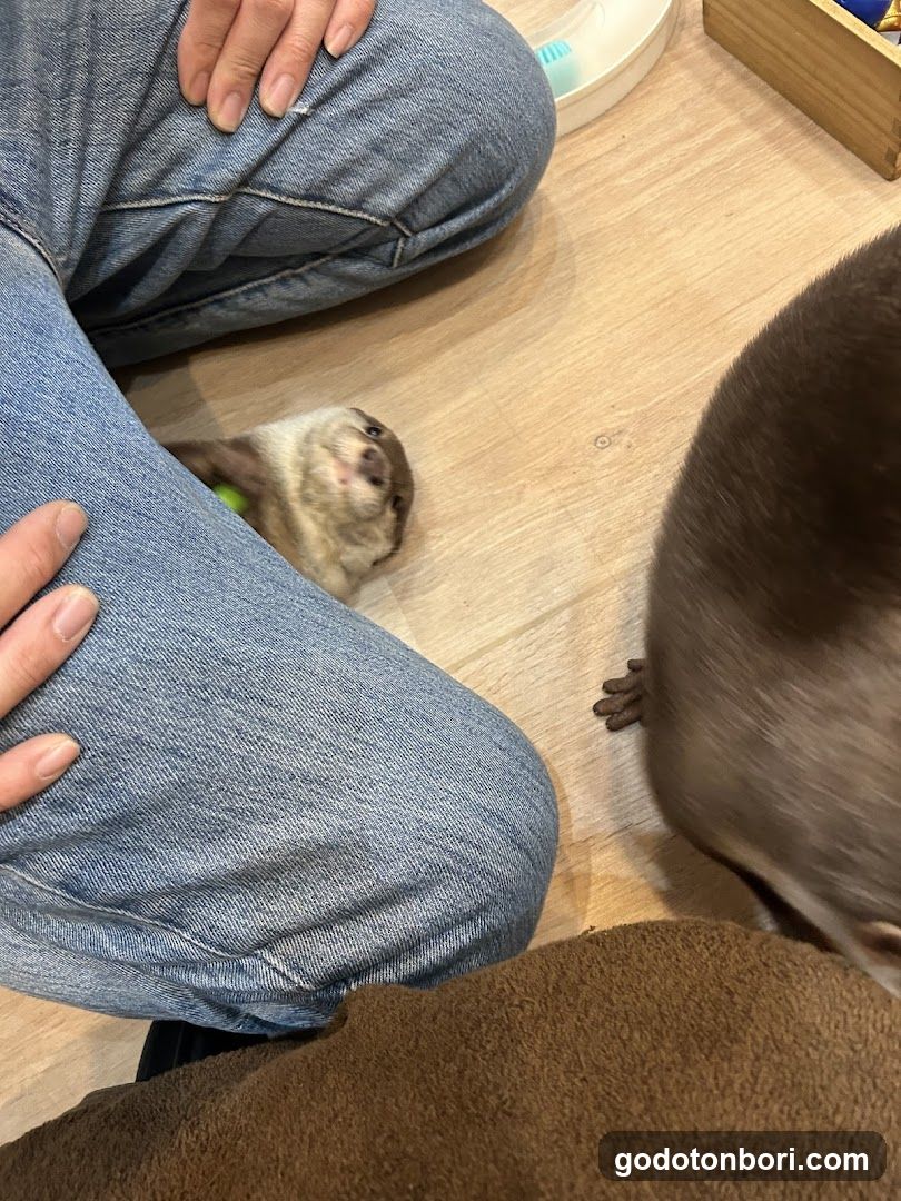 LOUTRE(ルートル)大阪千日前店