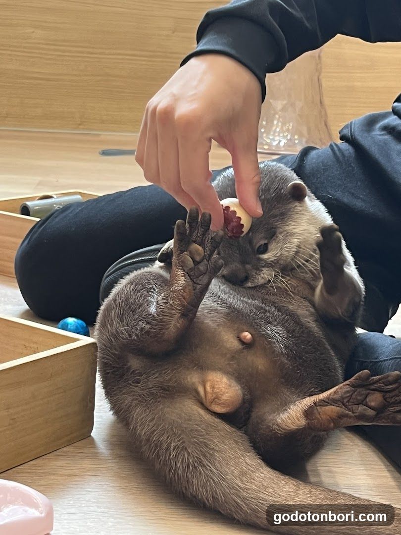 LOUTRE(ルートル)大阪千日前店