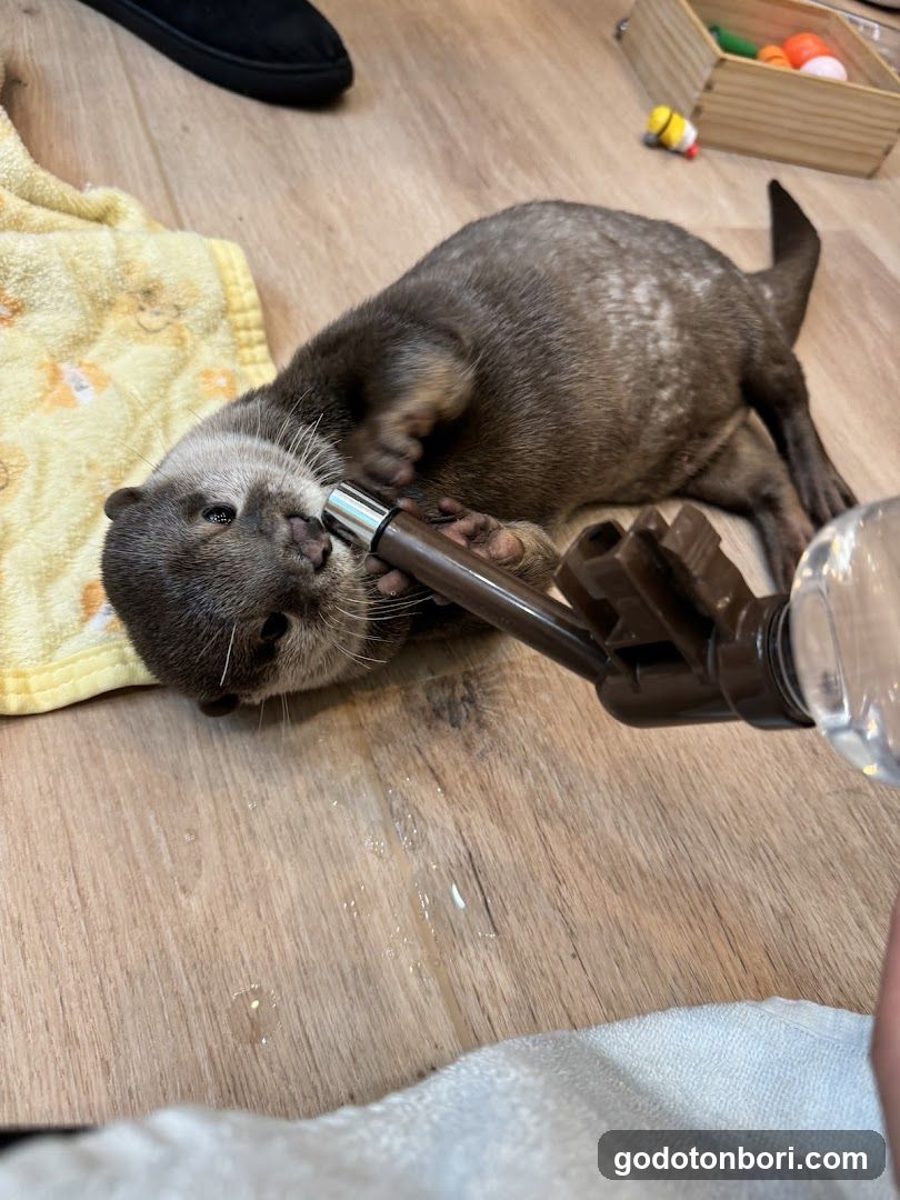 LOUTRE(ルートル)大阪千日前店