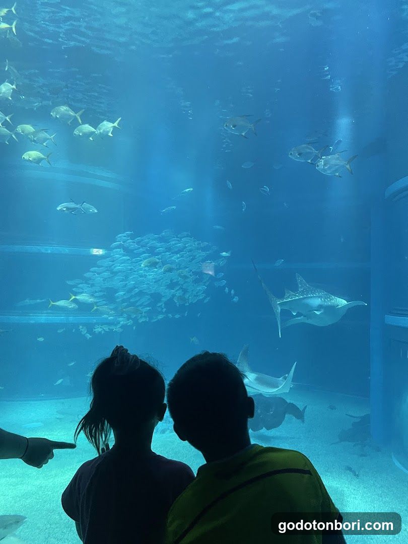 Osaka , Kyoto & Nara Private Tours