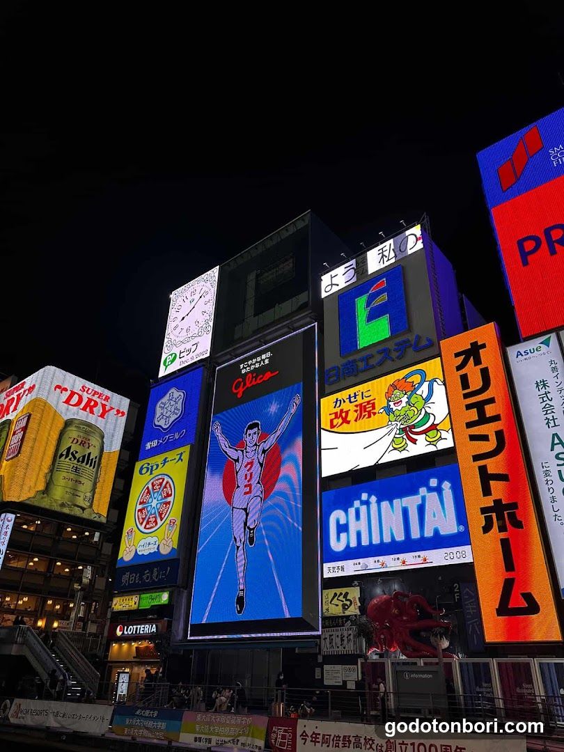 Osaka , Kyoto & Nara Private Tours