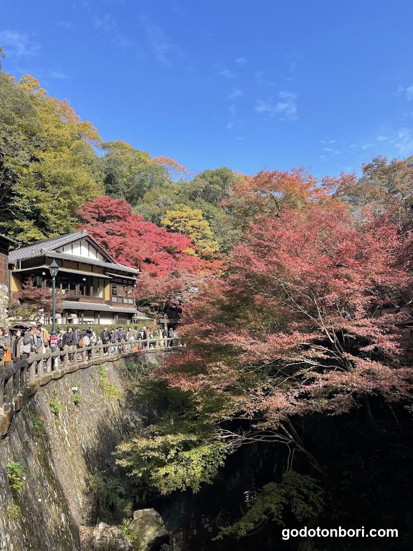 Osaka , Kyoto & Nara Private Tours