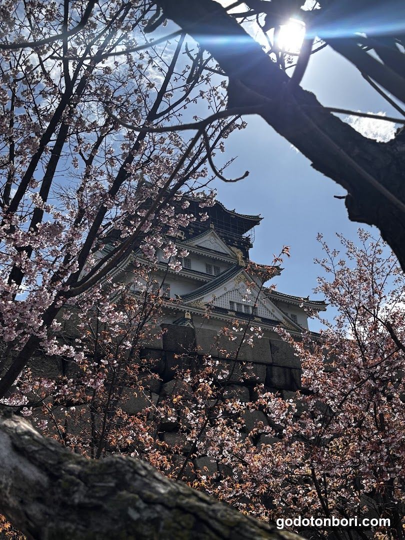 Osaka , Kyoto & Nara Private Tours