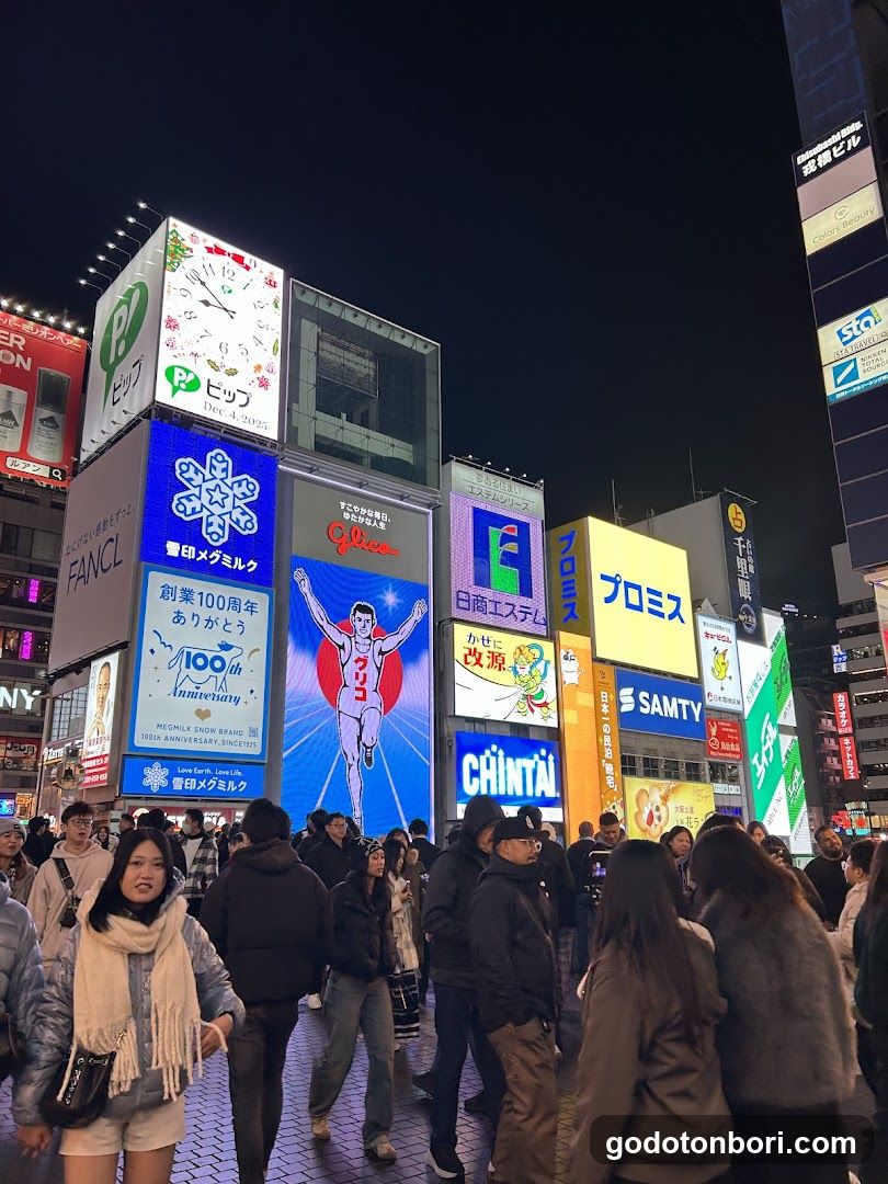 Osaka , Kyoto & Nara Private Tours
