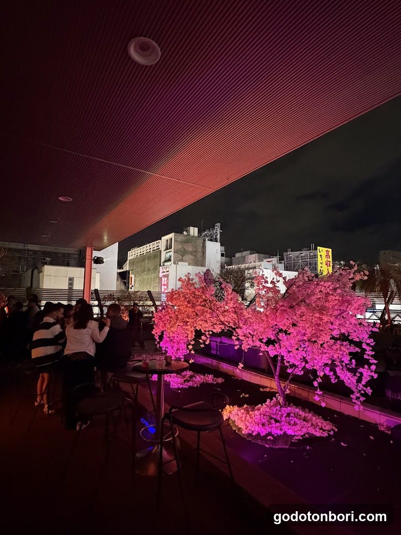 DOTONBORI NAKAZA SKY TERRACE