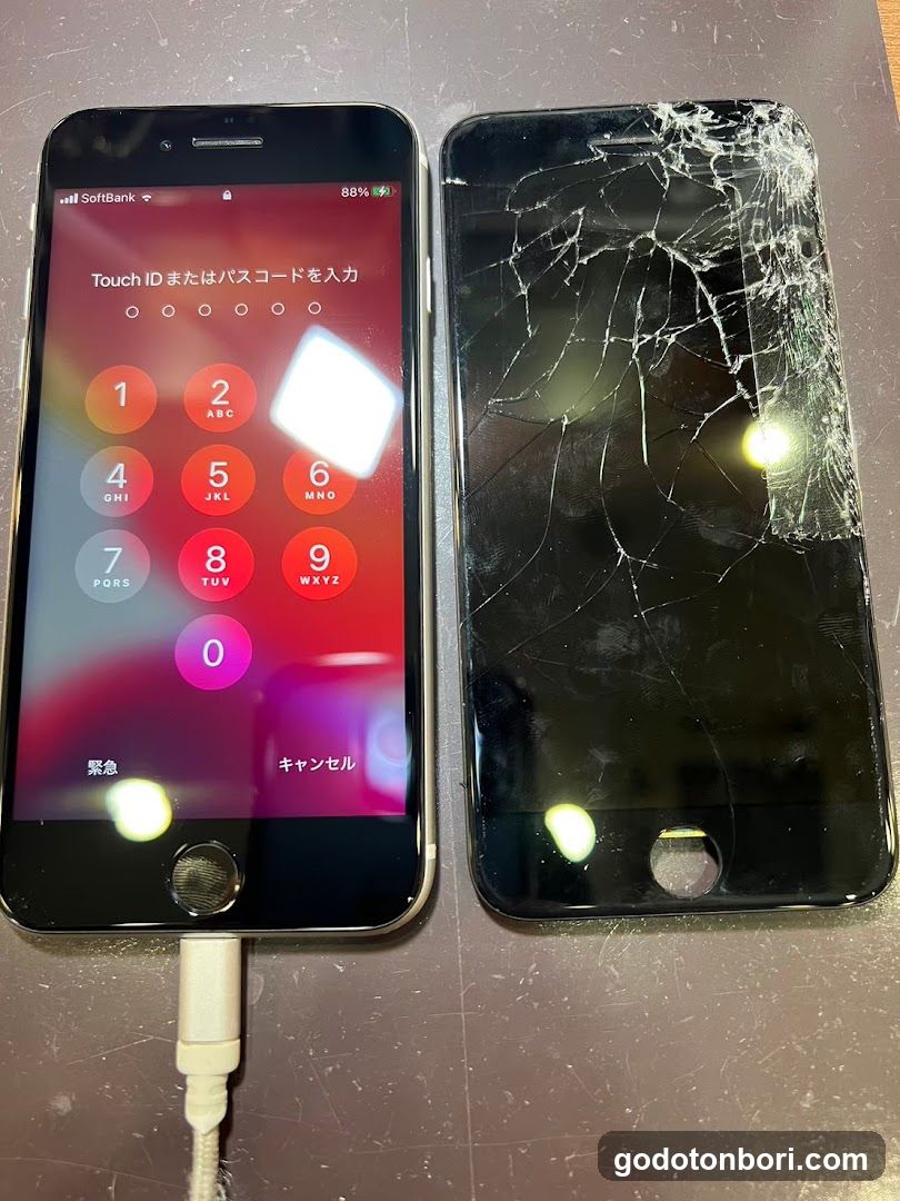 スマートクール なんばCITY店