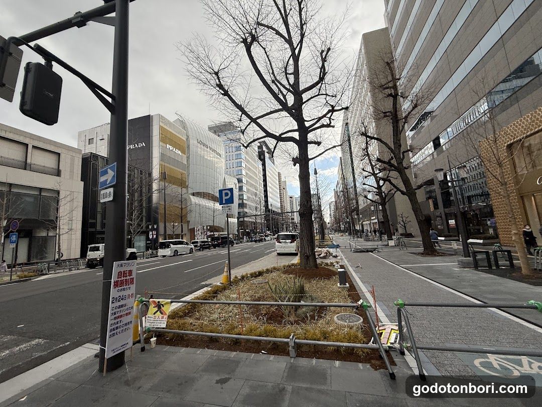 Docomo Bike Share