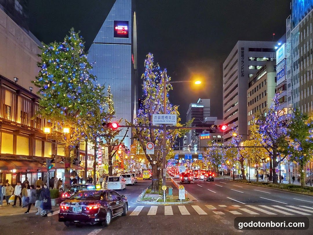 Night street scene with illuminated trees and traffic lights