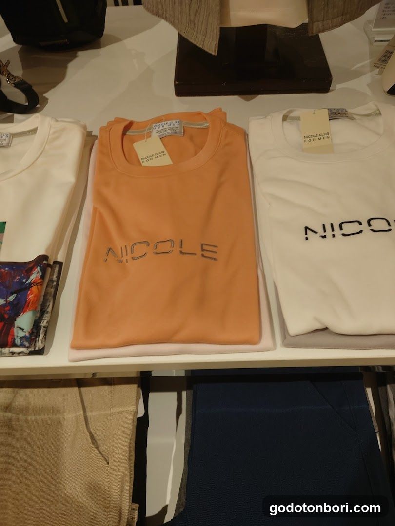 MONSIEUR NICOLE canal deux