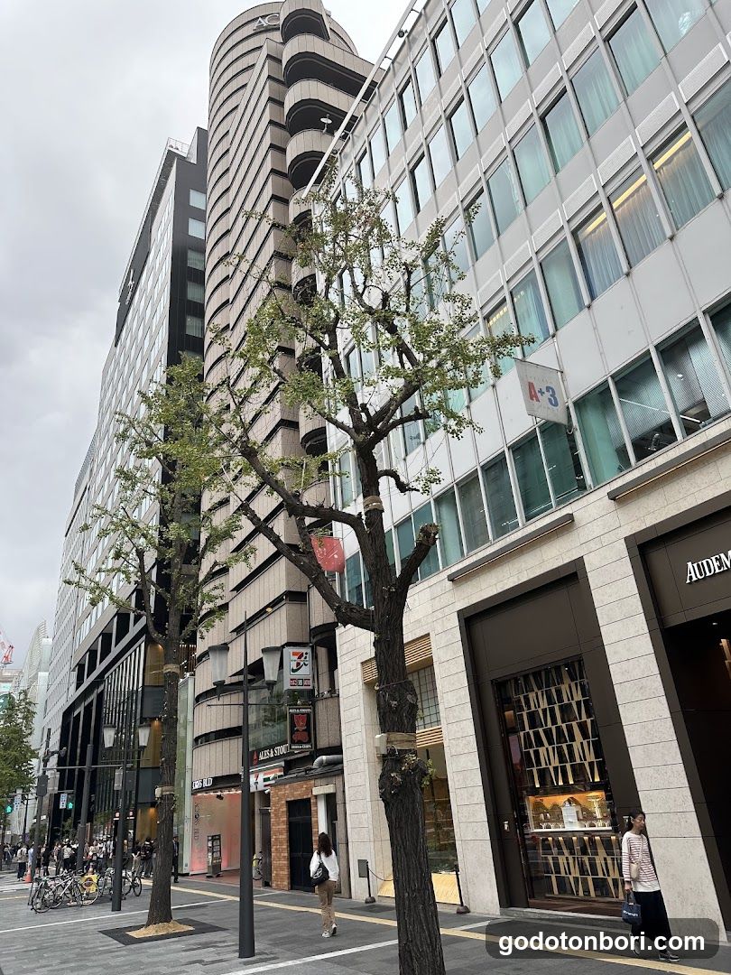 Dotomboribashi