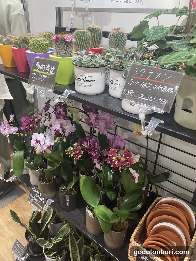 UNIQLO FLOWER なんばCITY店