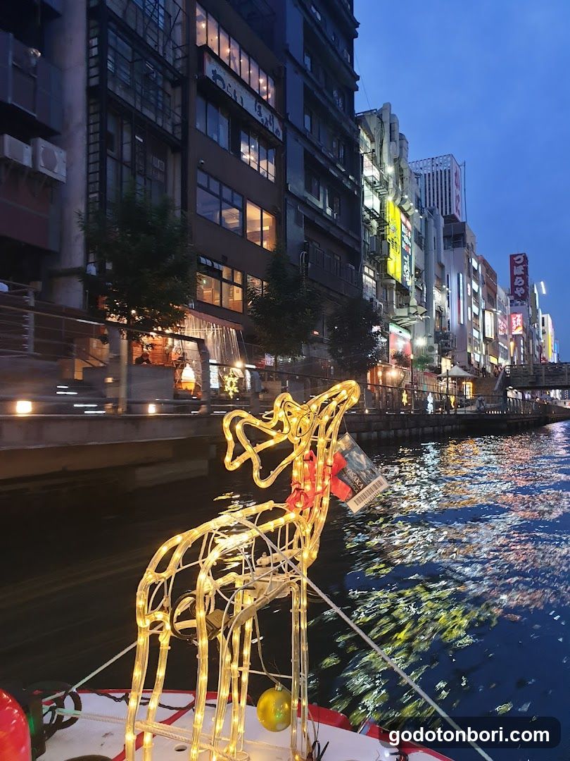 Night River Cruise with Lighted Reindeer