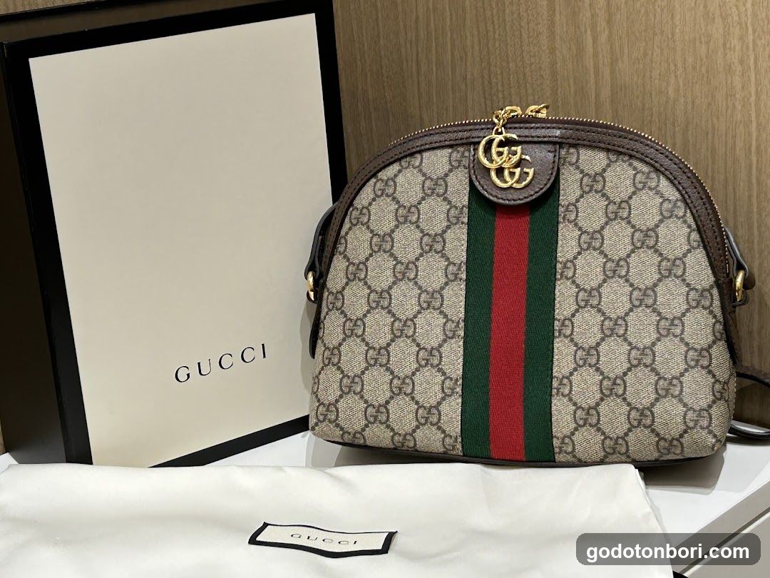 Gucci Bag Display