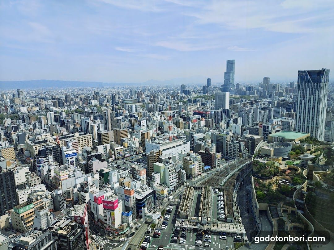 Tokyo Cityscape View from High vantage point