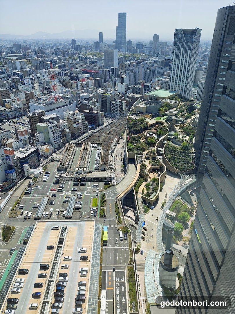 Tokyo Cityscape from High Rise