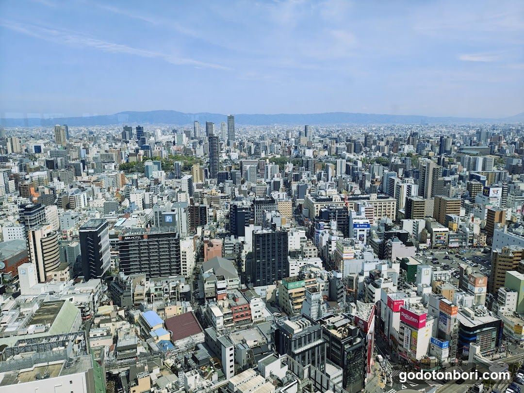 Cityscape View