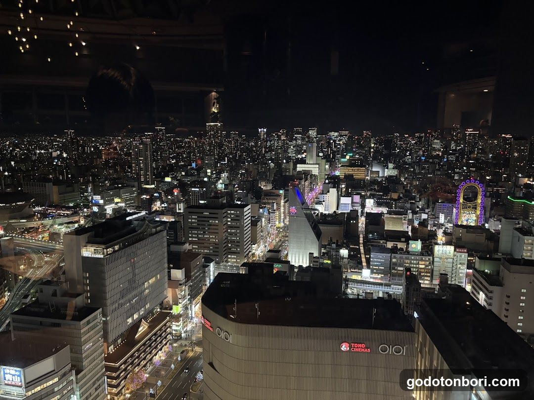 Tokyo Night Cityscape View from High Building
