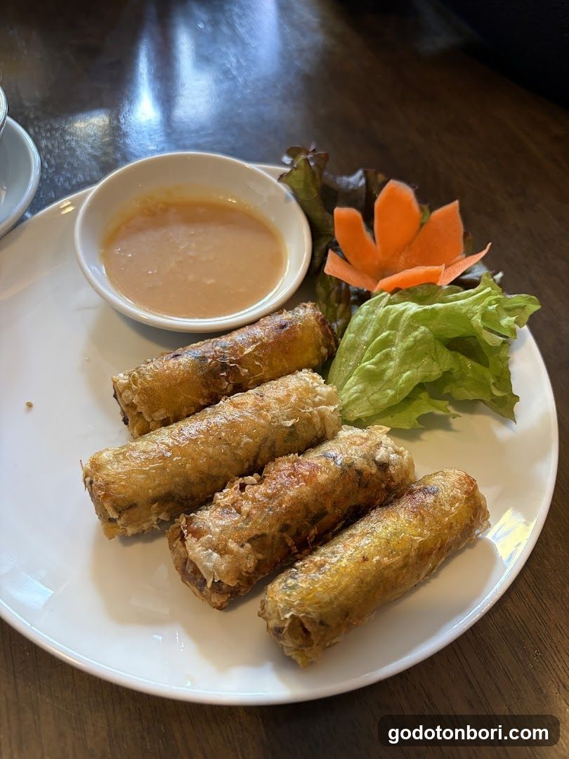 Fried Spring Rolls with Dip