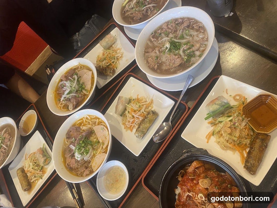 Vietnamese Pho and Spring Rolls Meal Spread