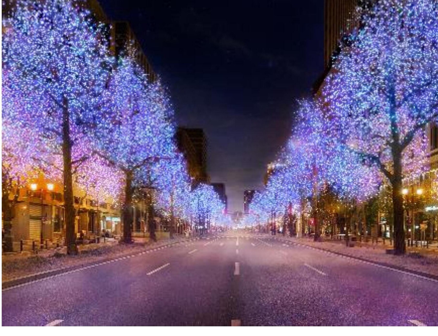 Midosuji Illumination 2026 (Namba-nishi / South Area)